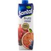 Santal Succo 10 vitamine Frutti Rossi 1L X12 pz