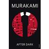 Haruki Murakami After Dark (Tascabile)