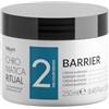 Dikson Chromatica Ritual 2 Barrier Crema Barriera Protettiva Pre Tintura, 250ml, Con Pantenolo e Estratti di Ortica, Betulla, Equiseto e Camomilla