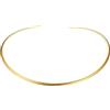 JOINPAYA Collana Girocollo Rigida in Acciaio Inossidabile Dorata Da Donna Collana Choker Elegante Per Uso Quotidiano Cosplay E Feste Accessorio Moda