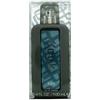 fcuk fcuk Forever For Him Eau de Toilette Spray 0,1 l