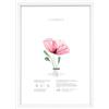Generico Cornice Portafoto da Parete in Legno 60x80 cm Bianco - Design Moderno ed Elegante, Grande Formato, Facile da Appendere, Ideale per Poster, Stampe Artistiche, Quadri e Decorazione Parete Casa Ufficio