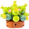 Nice Mattoncini - Exotic Plants - Set da Costruzione in Blocchi della Pianta Conophytum - cod 78042