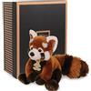 Doudou et Compagnie HO2217