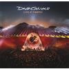COLUMBIA David Gilmour 'Live at Pompeii' 180 grammi, libretto, custodia, scatola da 4 ...