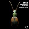 Johann Sebastian Bach Bach: Sonates Et Partitas, BWV 1001-1006 (CD) Album