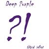 Deep Purple Now What?! (Vinyl LP) 12" Album