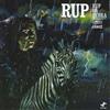 Rup Rup On Zebra (CD) Album