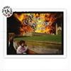 Various Artists Burn Cambridge Burn (CD) Album