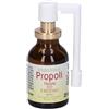 Erbamea Propoli Erisimo Titolata Spray 20 ml