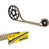 DID Kit trasmissione S-AC 15-41-100 DID520VX3 (G&B) R DUCATI Monster 750 98-01