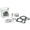 Malossi KIT GRUPPO TERMICO MALOSSI HONDA SH 150 DYLAN 150 PS 150 PANTHEON 150 3111588