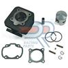 DR Racing Parts Honda SFX / SXR 50 2T GRUPPO TERMICO Ø 47 MAGGIORATO GHISA DR