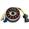 PIAGGIO Kit volano e statore Beverly X MADISON RUNNER SPORTCITY SCARABEO Piaggio 58141R