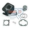 DR Racing Parts Peugeot Squab 50 2T 00 GRUPPO TERMICO Ø MAGGIORATO GHISA DR