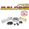 Malossi PIAGGIO LIBERTY S I-GET 125 IE 4T EURO 4 2017-> VARIATORE MALOSSI MULTIVAR 51166