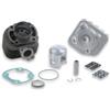 Malossi GRUPPO TERMICO IN GHISA Ø 47 KIT F12 MALOSSI 3113066