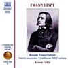Naxos Piano Music-Vol. 7