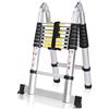 Nictemaw MEYKEY Scala Telescopica Pieghevole Multiuso Allungabile Scaletta portatile, portata massima 150 kg, Argento