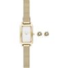 Skagen Hagen Micro SKW1158SET - Orologio da donna in acciaio inox, 30 mm, colore: oro