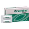 Farma-derma srl Farma Derma Cicatridina supposte 10 pezzi