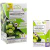 Sandokan, Kit Trappola Cimice Asiatica a Feromoni + Ricarica Attrattiva - Disinfestazione Orto e Giardino Senza Insetticidi - Design Piramidale Antifuga Made in Italy