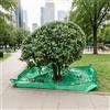 GOEDCH Tappetino per piante da 2 x 2 m di taglio: polipropilene verde, efficace telo da giardino, impermeabile, robusto foro, per la cura del giardino e il paesaggio