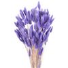 QUARKZMAN 120pz Coda di Coniglio Naturale Fiori Secchi 43cm Mini Erba di Pampa per Decorazioni Floreali Matrimonio Natale, Viola Scuro