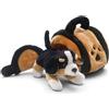 Carl Dick Cane da montagna bernese nella casa del cane 16 cm, Peluche, Peluche, Animale di peluche 3718