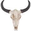 FAVOMOTO Ornamenti a Forma Di Teschio - Teschio, Toro Largo, In Finta, Con Supporto A Parete Occidentale, Lungo Corno Mucca