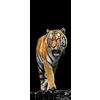 A.Monamour Adesivo Porta Autoadesiva Tigre Su Sfondo Nero Vinile PVC Adesivi per Porte Interne 3D Pellicola Adesiva Poster Sticker Murale Decorazione da Parete Carta da Parati