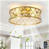 Ganeed Ventilatore da soffitto con gabbia e luci e telecomando stile cristallo Illuminazione da soffitto stile fattoria Montaggio a filo Lampada E27 con telecomando goccia oro 4 luci