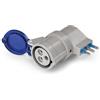 Scame Adapto - Adattatore/A Simple Sistema IP20 con spina 16 A 250 V