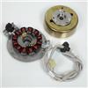 TEKNIX Statore e rotore di allumaggio Teknix per scooter MBK 50 Booster Spirit Aprile 2004 Neuf