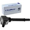 BorgWarner (BERU) Bobina d'accensione 12V N° raccordi1 Sistema Di Accensione ZS588