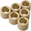 ZenithRide Pesi a rulli variatore Nexus250 6PC 13g 14g 21x17mm compatibili con moto Nexus EU3 250 250cc 842870 4T(21 x 17mm 14g)