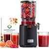LINKChef Estrattore Frutta e Verdura, Estrattore di Succo a Freddo 250 W con Imboccatura Larga 13 cm, Juicer Machine Senza BPA, 1,8 L, Facile da Pulire, Ricette Incluse