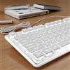 SEUNKWANG EWEADN GX710S - Tastiera per computer retroilluminata, con cavo USB retroilluminato bianco, pannello in metallo, Plug and Play, tasti budino, tastiera per computer full size, per