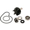 one Variante Kit REVISIONE Pompa 50CC (cod 77093600 Kit Set revisione Pompa Acqua Compatibile con Burgman 125-250-400cc)