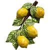 SICILIA BEDDA CAPACI Grappolo di Limoni, ceramica Caltagirone - h 40 x 20 cm ca.