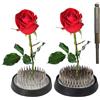 ponezg Kenzan Flower Frog Reusable Flower Holder Metallo, 2 pezzi per fiori rotondi in acciaio inox, 46 mm + 50 mm, motivo rana floreale (4,6 cm + 5 cm)