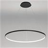 AIRUI 1-Luce Cerchio Lampada a Sospensione LED Metallo Acrilico Lampadario Moderno Sospeso Regolabile Luce Pendente per Soggiorno Camera da Letto Cucina,Black+WhiteLight-40cm