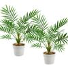 LEIMEND Set di 2 Palme Artificiali Areca Piante Finte da Interno