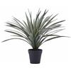 BROMELIA C/VASO H45