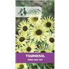 PLANETE GRAINES 50 Semi di Girasole Annuale Gigante 'Italian Green Heart' (Helianthus) - Fiori Giallo Limone con Cuore Verde Tenero