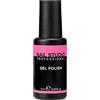 Capello point Nail Studio Professional, Smalto Semipermanente N. 19