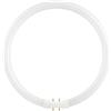SL FL Circline T5 2Gx13 55W 840 16x305 10Khrs