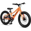 Glerc Mars 20 bambini Fat Tire Mountain Bike per età 6 7 8 9 10 11 12 ragazzi ragazze adolescenti con 6 velocità Drive freni a doppio disco Arancione