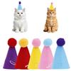 Penitue 5pz Cappellini Compleanno per Animali Domestici, Colorati e Regolabili Feste di Compleanno Mini Cappellini a Cono Accessori Costumi Animali Domestici Adatti per Conigli Bambole Decorazioni