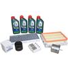 Ford Kit Ispezione Ford 1,25+1,4 16V Incl. 4 L Olio Motore 5W30 Castrol